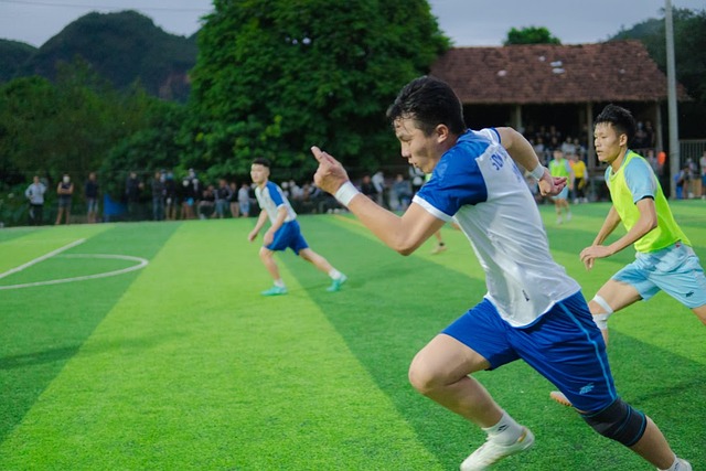 主场瞄准4连胜！阿德莱德主帅：全力争胜，全员健康迎战狮吼